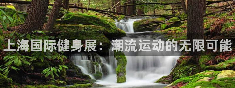 意昂4注册
