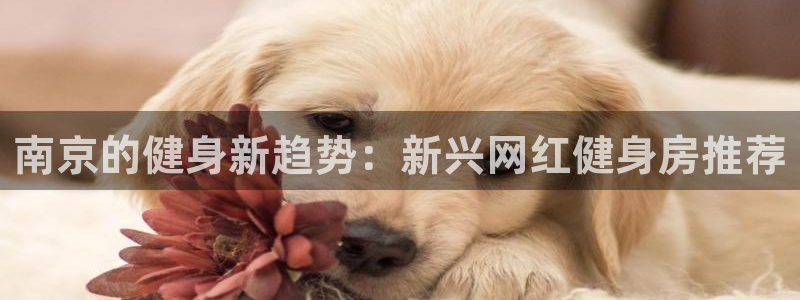 意昂4官方网站