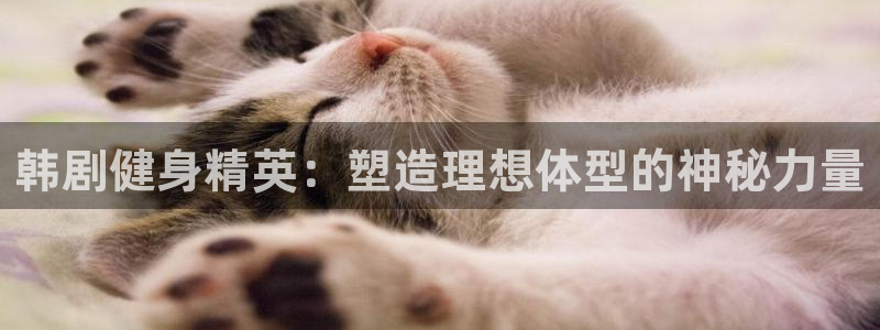 意昂4娱乐
