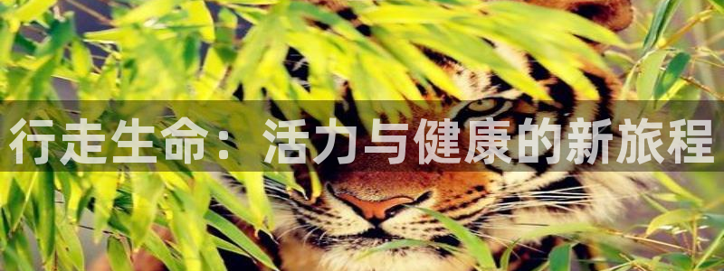 意昂4官方平台