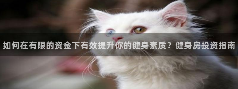 意昂4娱乐