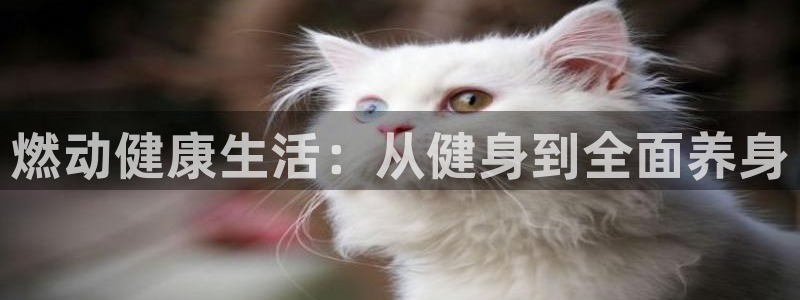 意昂4代理