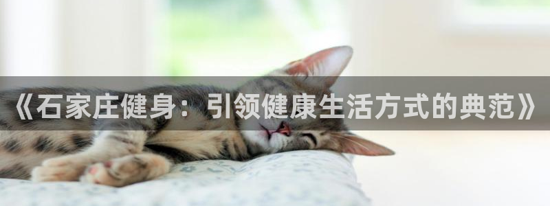 意昂4代理