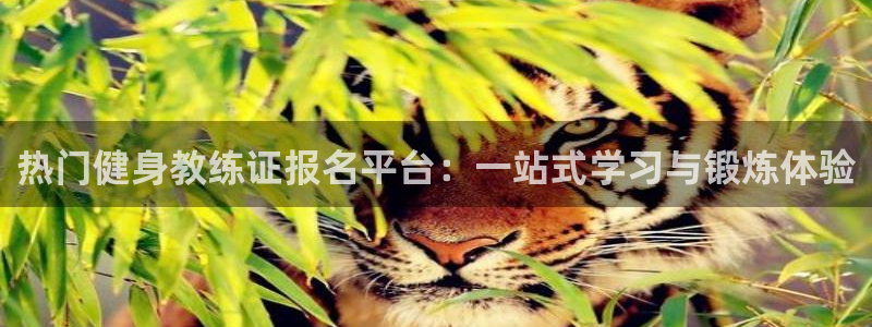 意昂4官方平台