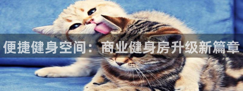 意昂4娱乐