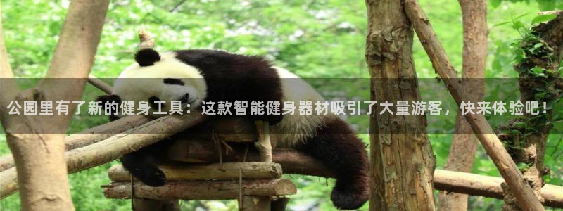 意昂4招商