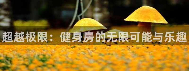 意昂4代理