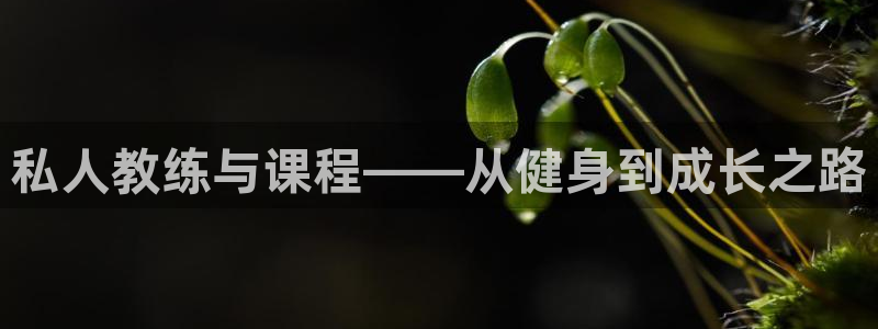 意昂4官方网站