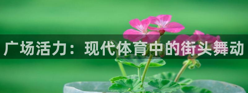 意昂4官方网站